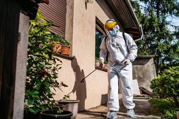 Best Wasp Removal Services  in Parker, CO