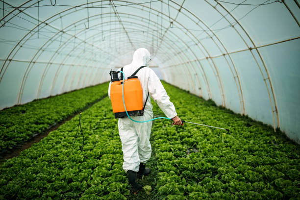 Best Pest Inspection Near Me  in Parker, CO