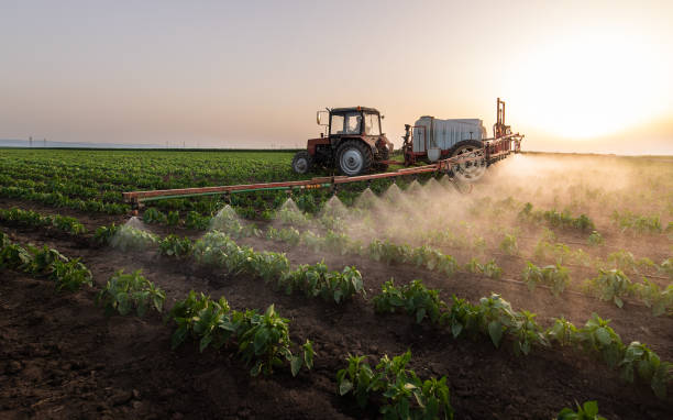 Best Mosquito Control Services  in Parker, CO