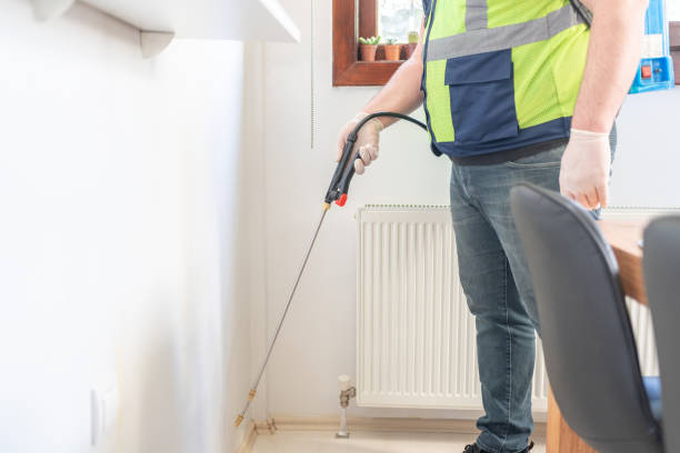 Best Wasp Removal Services  in Parker, CO