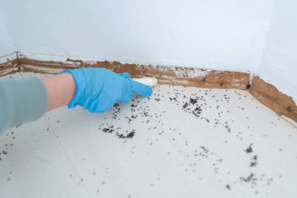 Best Commercial Pest Control Services  in Parker, CO