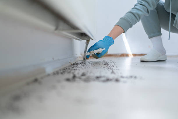 Best Pest Control Treatment  in Parker, CO