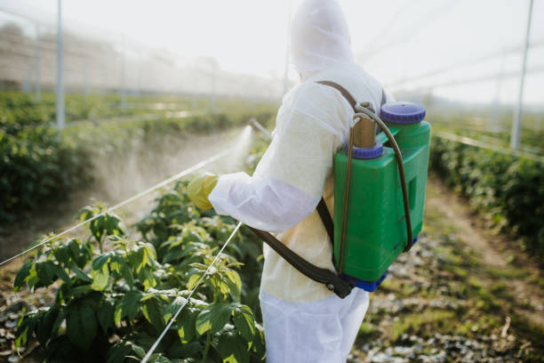 Best Pest Control Near Me  in Parker, CO